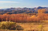 Bosque del Apache_72692